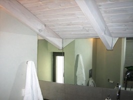 MIRROR10